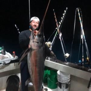 Meet your Posher, Leon